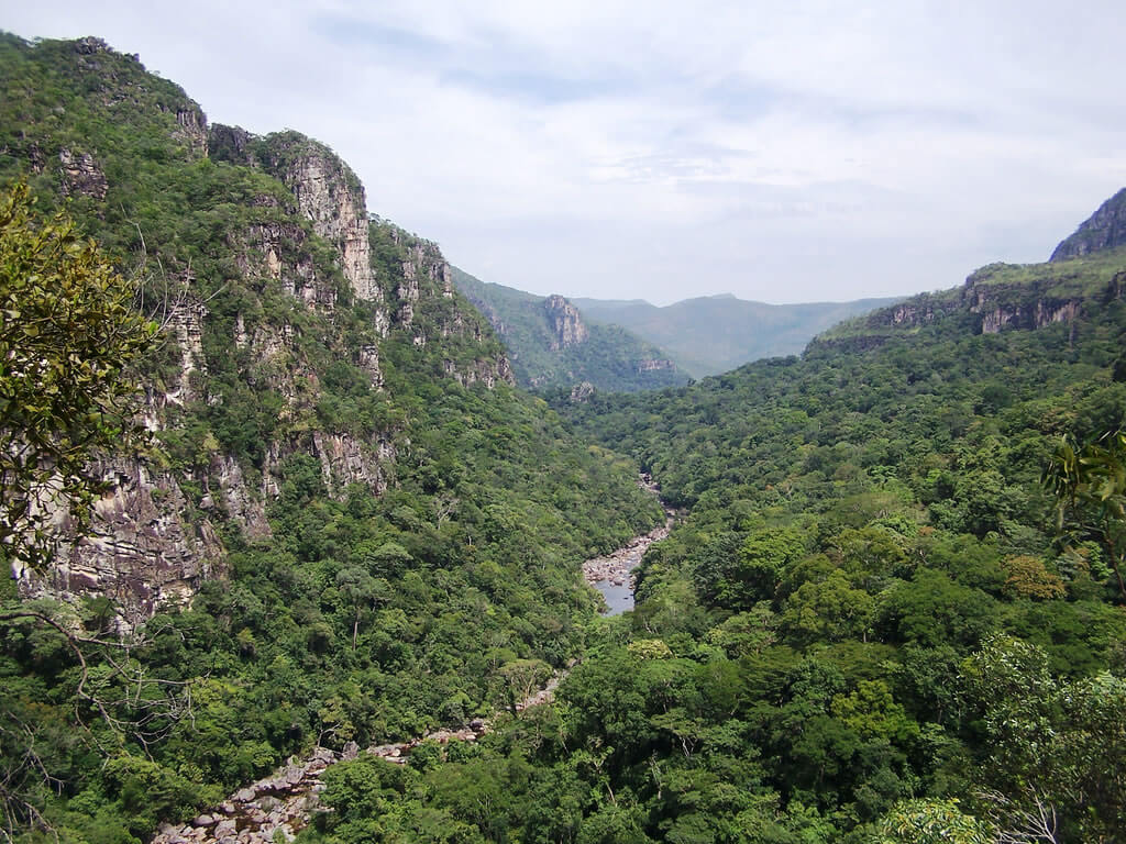 The Cerrado Protected Areas Preserving The Biodiversity Jewel Of Brazil Lac Geo 1453